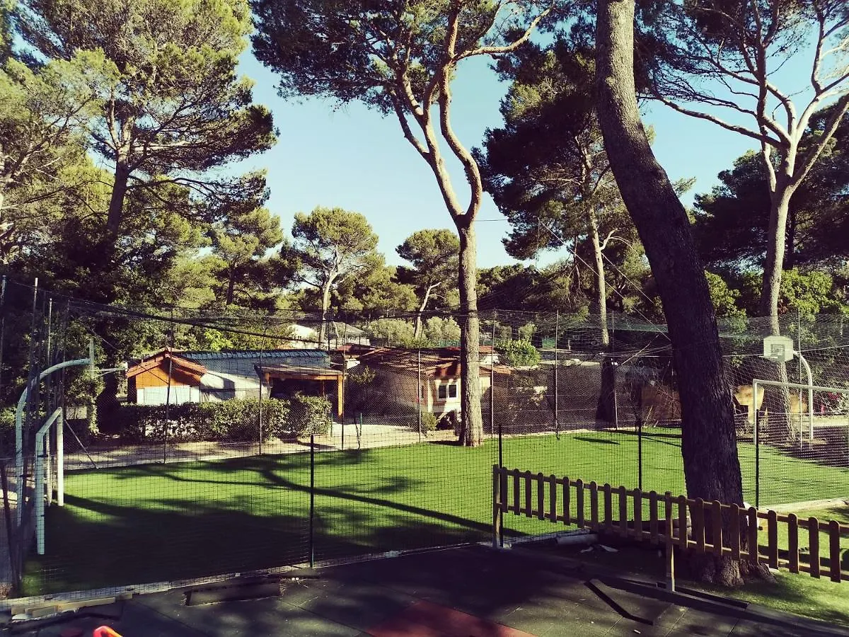Camping Les Arbouses Mobil Home 6 A 8 Personnes Climatise Barbecue Terrasse Le Castellet
